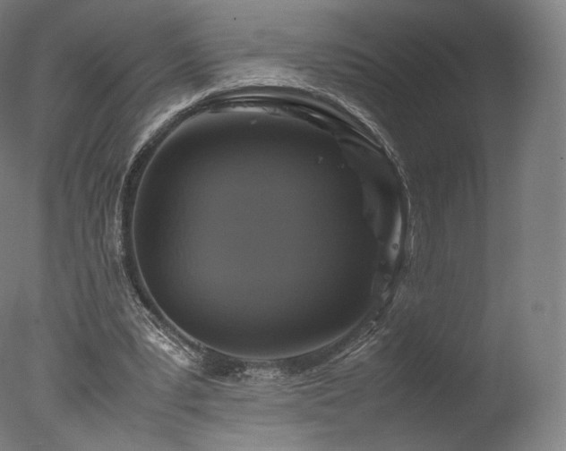 X0000077360391200610201328