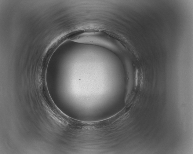 X0000077360392200610201328