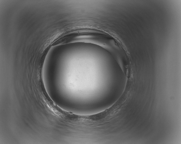 X0000077360393200610201328