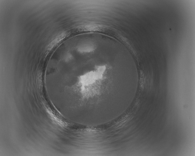 X0000077360394200610201328