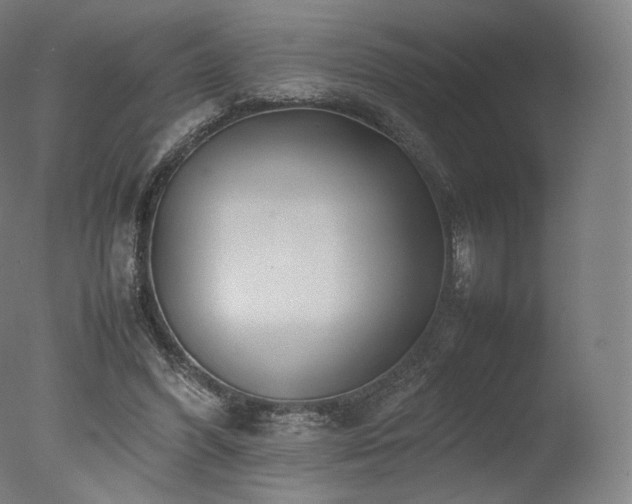 X0000077360396200610201328