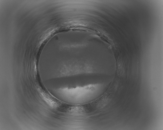 X0000077360398200610201328