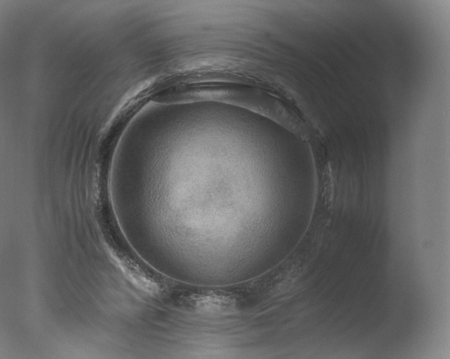 X0000077360400200610201328