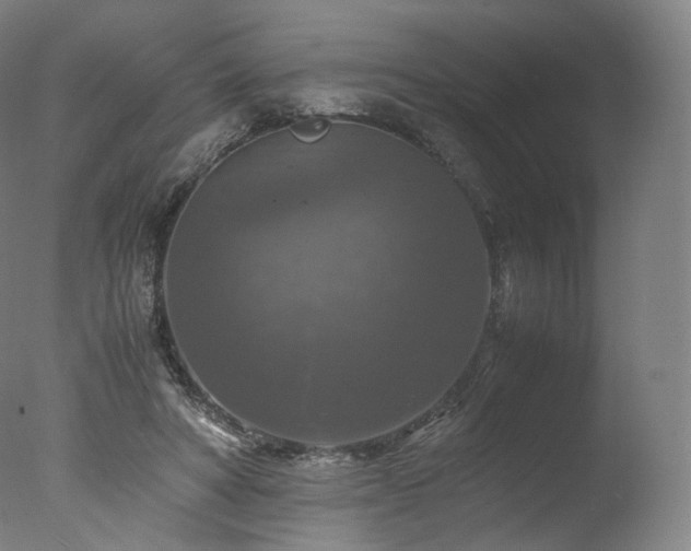 X0000077360402200610201328