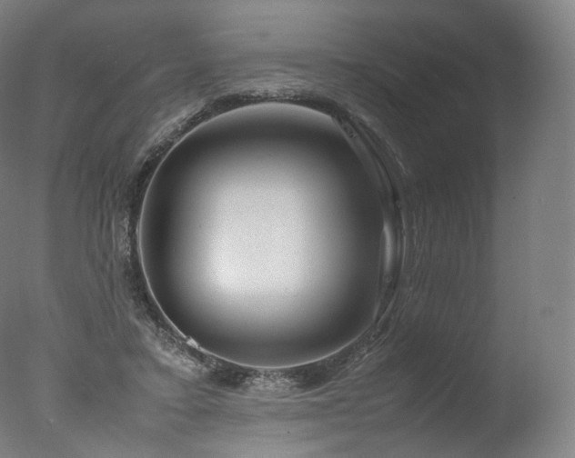 X0000077360403200610201328