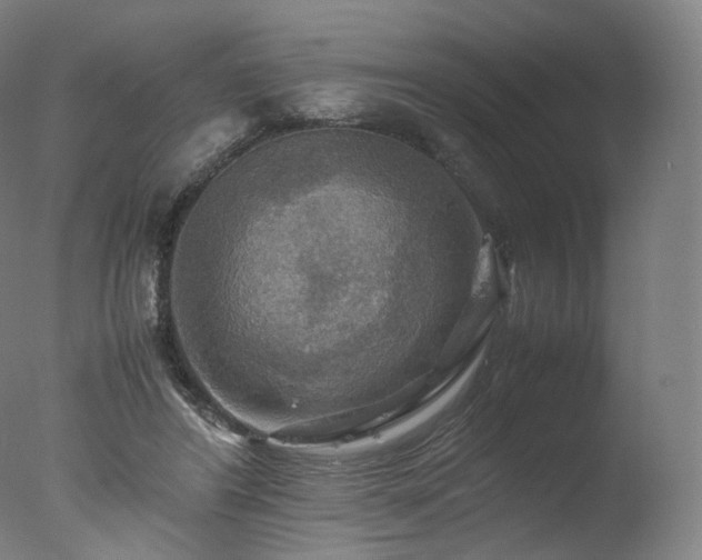 X0000077360404200610201328