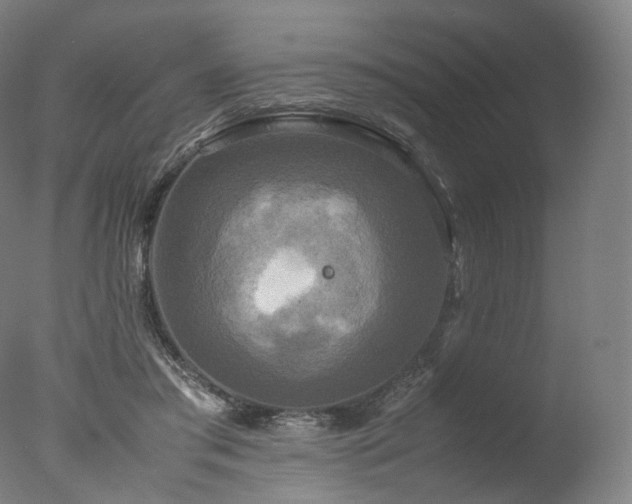 X0000077360405200610201328