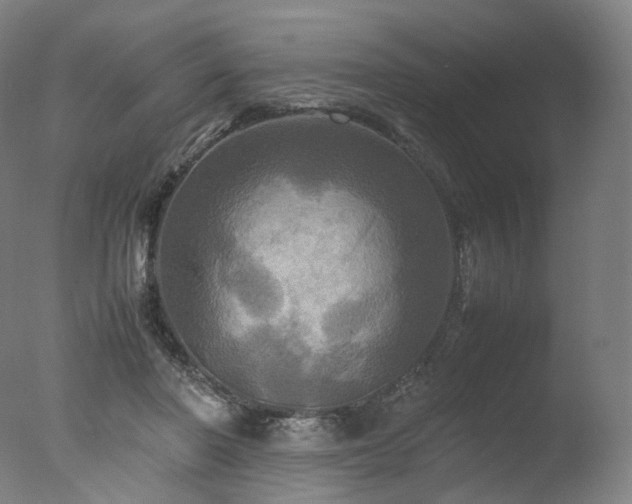 X0000077360406200610201328