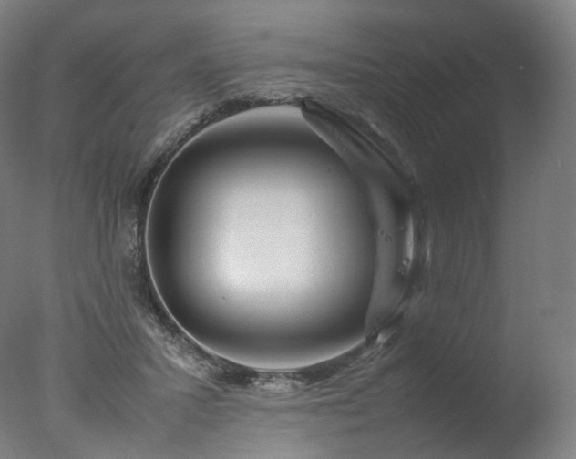 X0000077360407200610201328