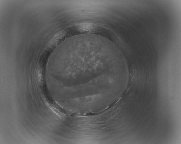 X0000077360408200610201328