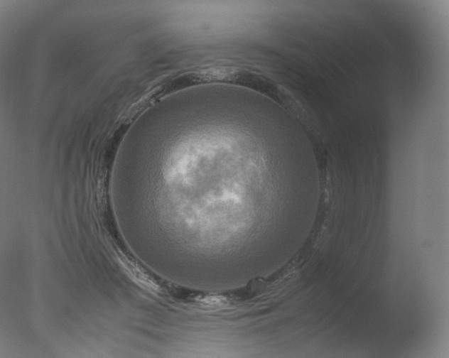 X0000077360409200610201328