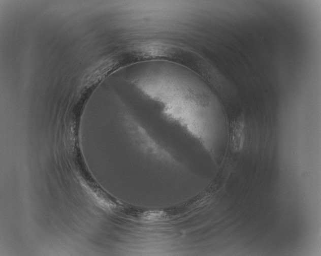 X0000077360410200610201328