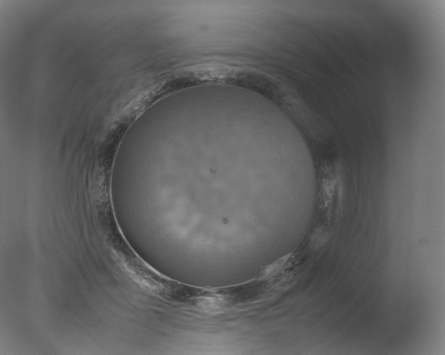 X0000077360411200610201328