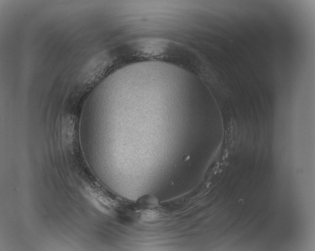 X0000077360412200610201328