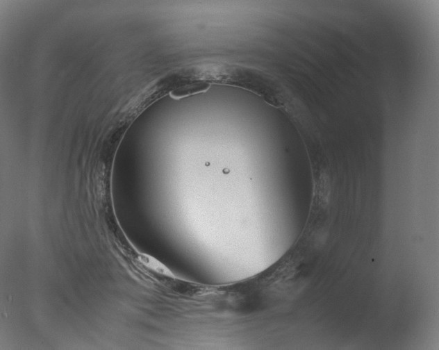 X0000077360413200610201328