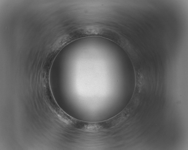 X0000077360414200610201328