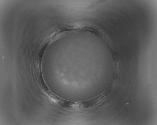 X0000077360415200610201328