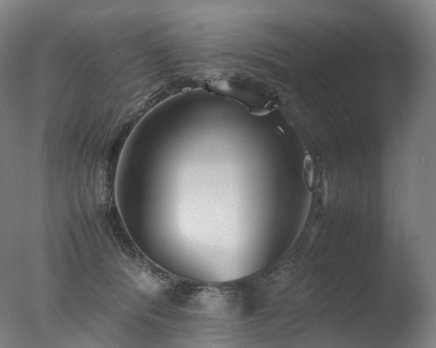 X0000077360416200610201328