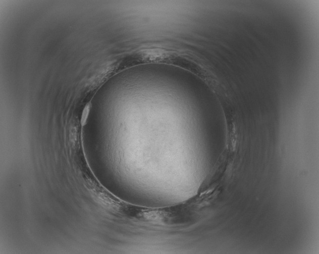 X0000077360417200610201328