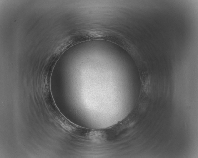 X0000077360418200610201328