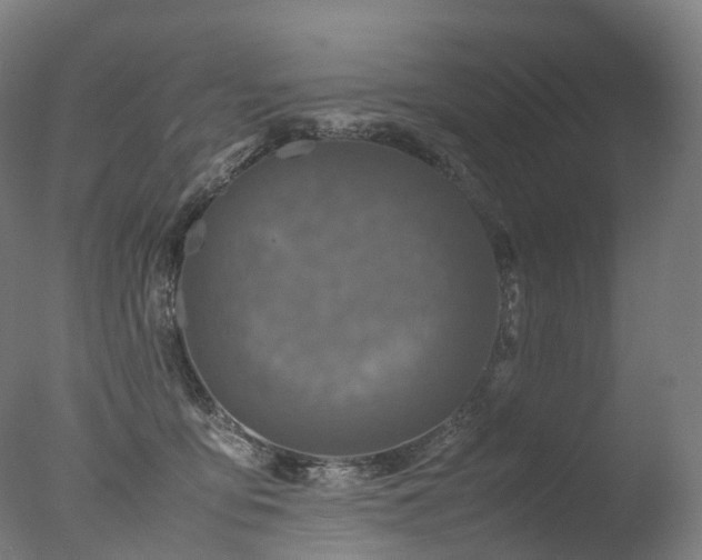 X0000077360419200610201327