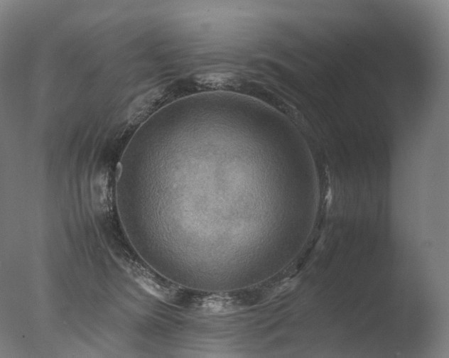 X0000077360420200610201327