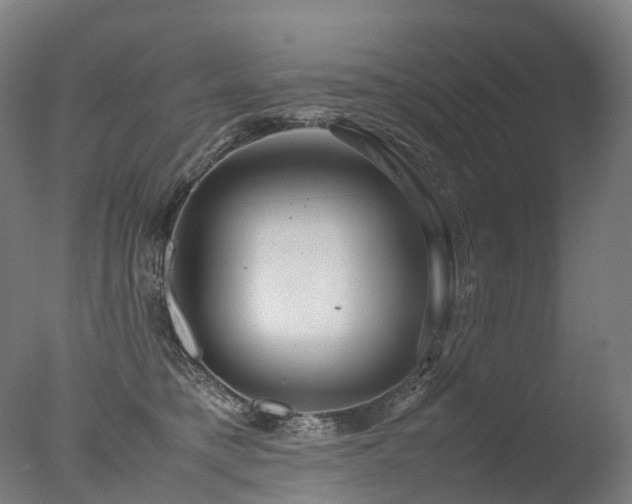 X0000077360421200610201327