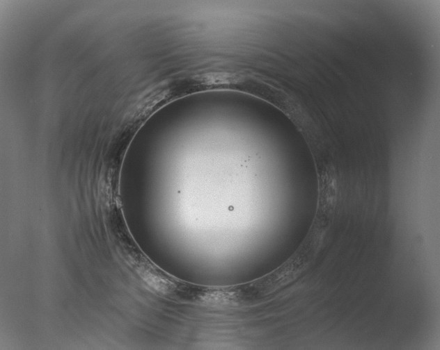 X0000077360422200610201327