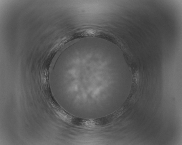 X0000077360423200610201327