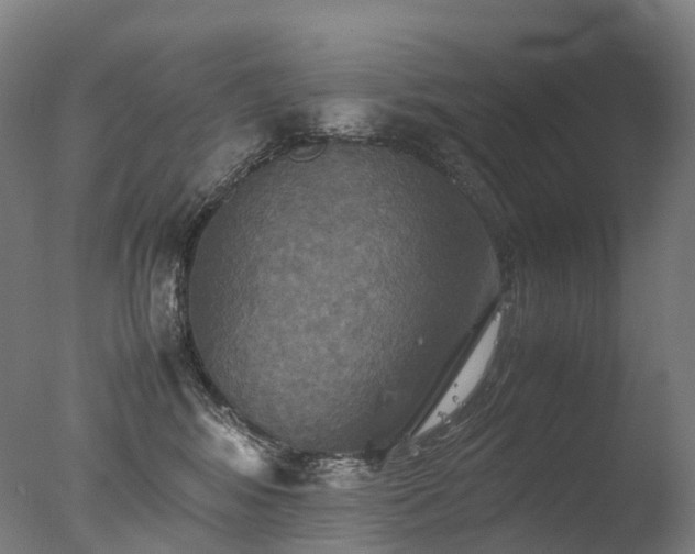 X0000077360424200610201327