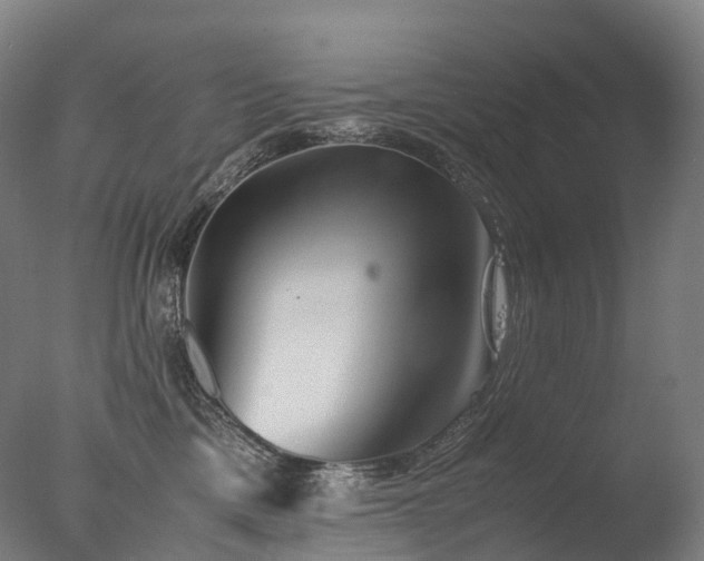 X0000077360425200610201327