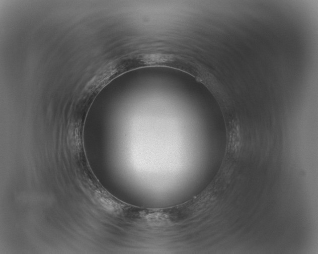 X0000077360426200610201327