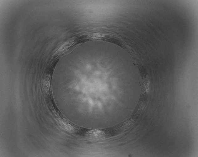 X0000077360427200610201327