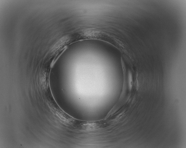 X0000077360428200610201327