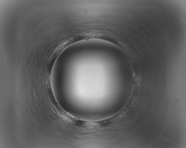 X0000077360429200610201327