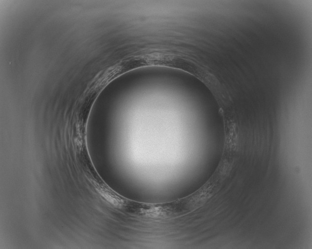 X0000077360430200610201327