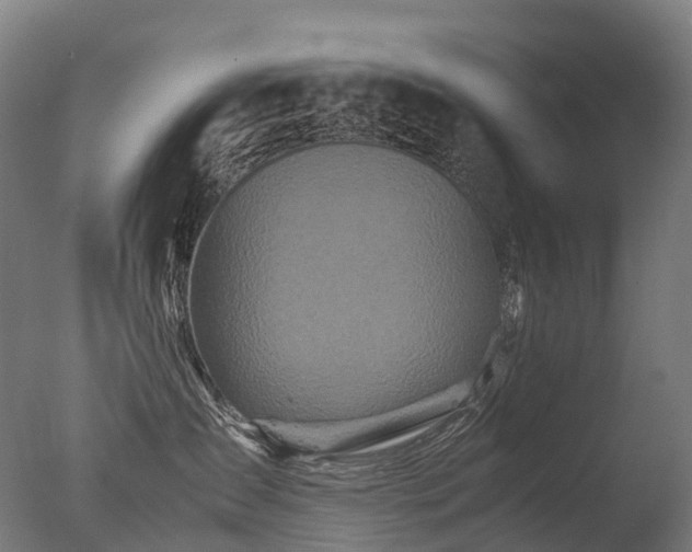 X0000077360431200610201327