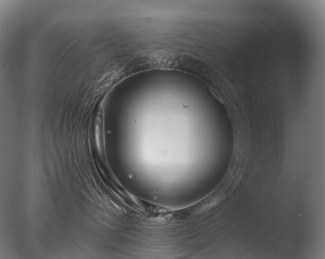 X0000077360432200610201327