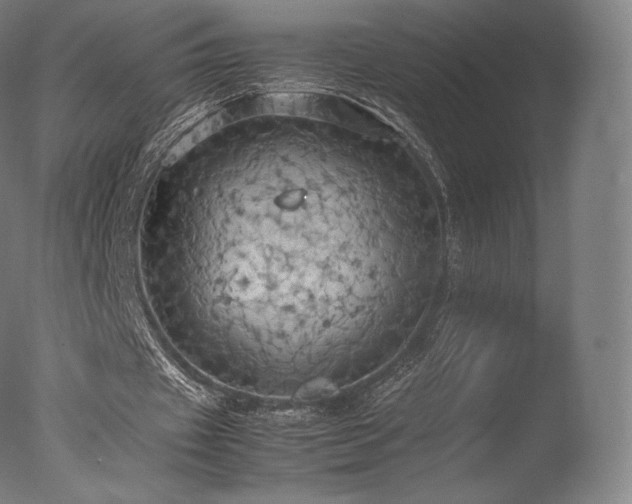 X0000077360433200610201326