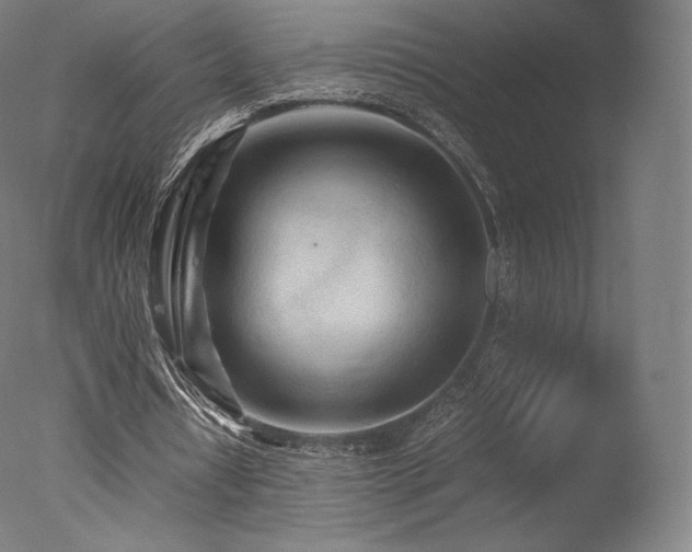 X0000077360434200610201326