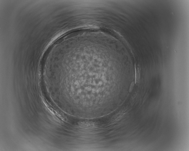 X0000077360435200610201326