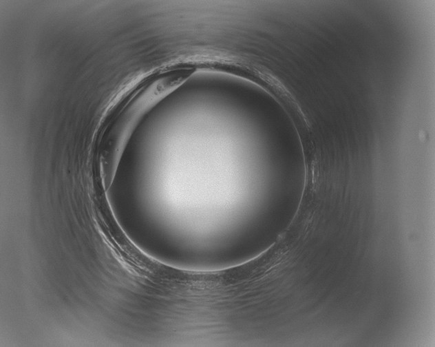 X0000077360436200610201326