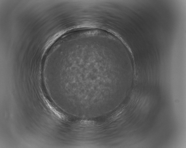 X0000077360437200610201327