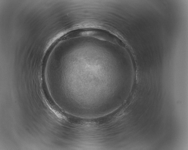 X0000077360438200610201327