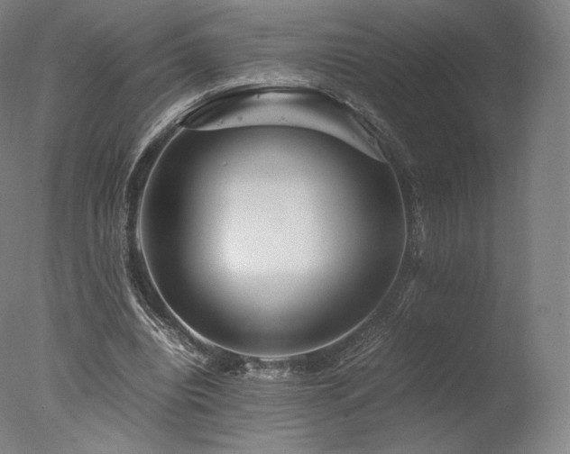 X0000077360440200610201327