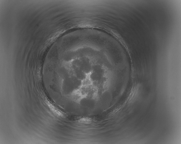 X0000077360441200610201327