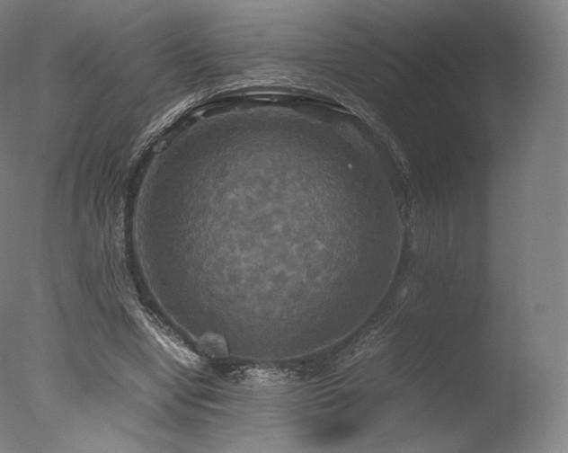 X0000077360442200610201327