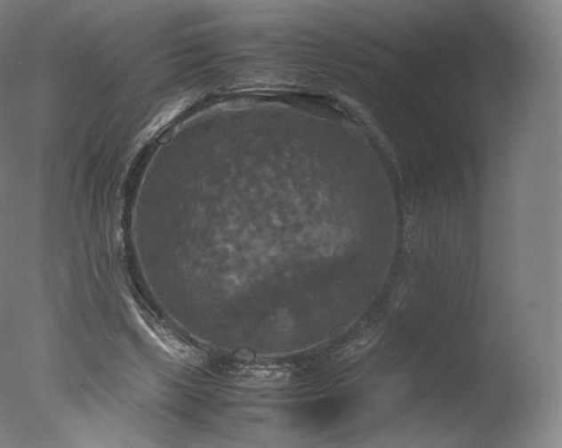 X0000077360443200610201327