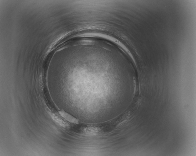 X0000077360444200610201327