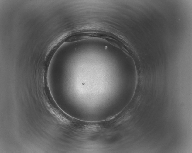 X0000077360446200610201327